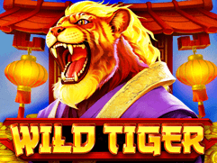 Wild Tiger game thumbnail