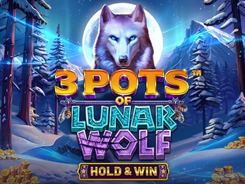3 Pots of Lunar Wolf_ Hold and Win game thumbnail